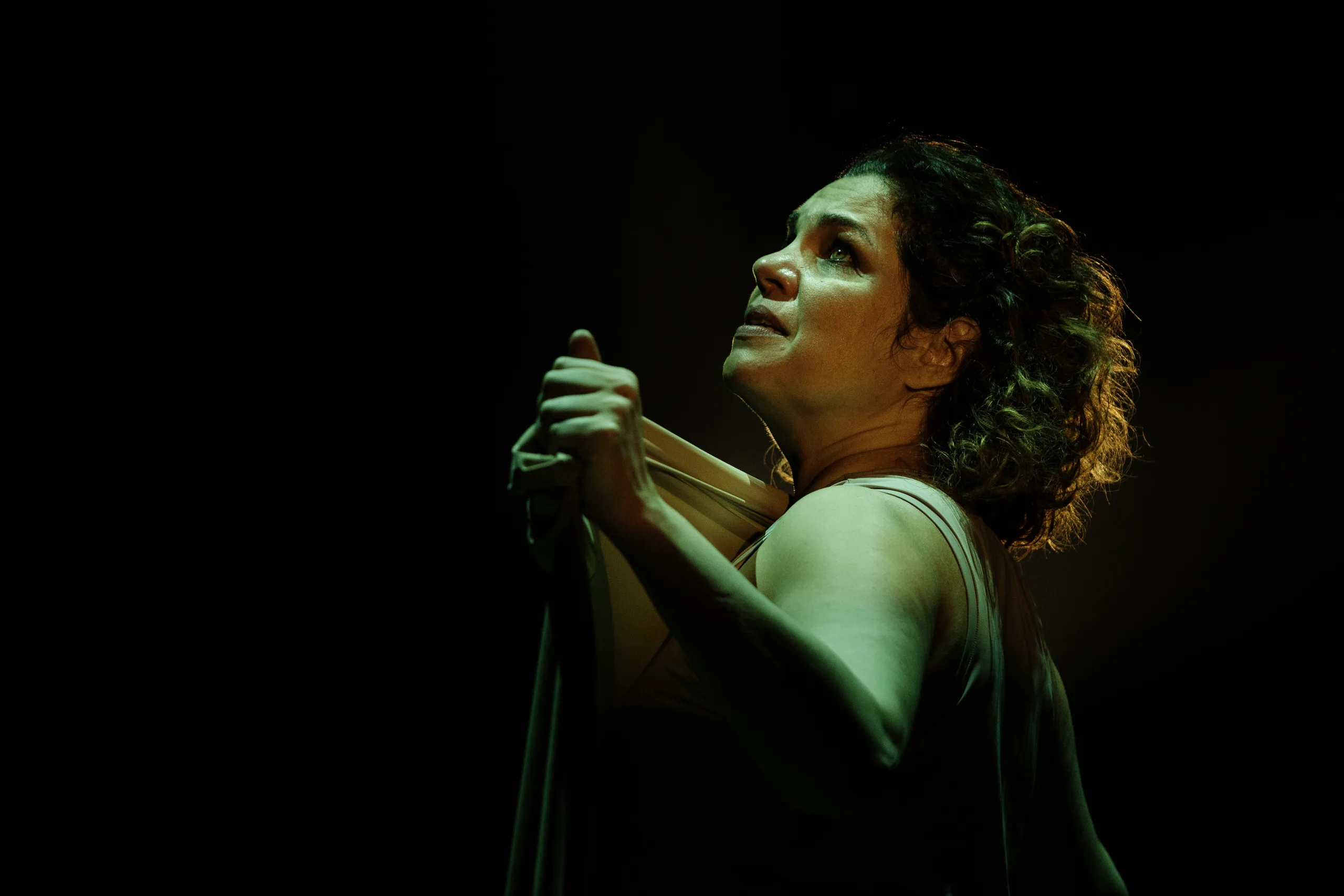 INSTITUTO USIMINAS TRAZ ESPETÁCULOS NACIONAIS DE TEATRO E DANÇA A PREÇOS POPULARES