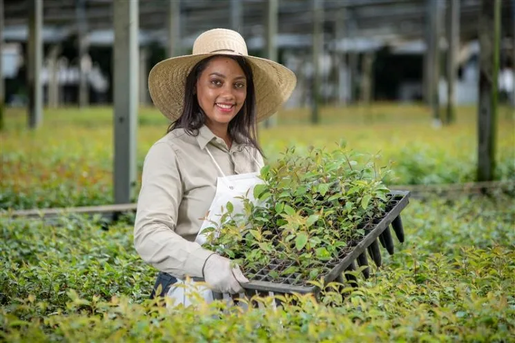 BIODIVERSIDADE É DESTAQUE NO RELATÓRIO DE SUSTENTABILIDADE DA CENIBRA