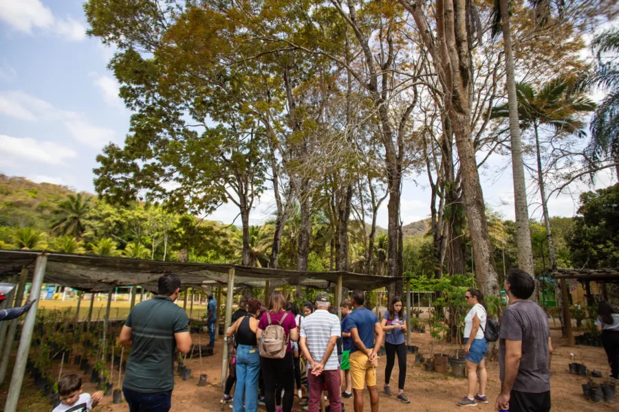 PASSEIO TURÍSTICO E VISITAÇÃO AO VIVEIRO DE MUDAS SÃO DESTAQUES DA SEMANA NO INSTITUTO USIMINAS 1 PASSEIO TURÍSTICO E VISITAÇÃO AO VIVEIRO DE MUDAS SÃO DESTAQUES DA SEMANA NO INSTITUTO USIMINAS