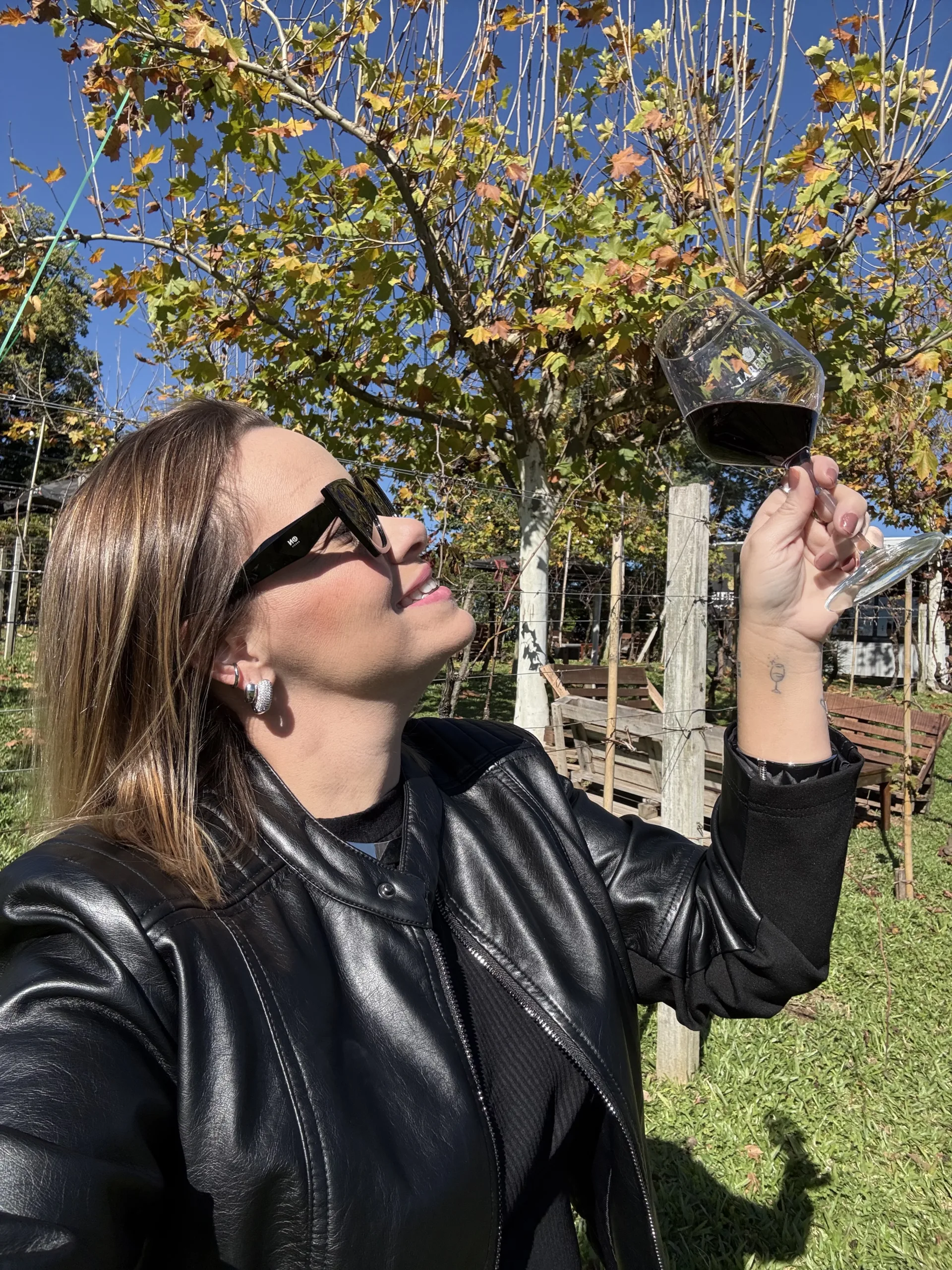 ROTEIRO NO VALE DOS VINHEDOS: UMA VIAGEM NO BRASIL PARA QUEM AMA VINHO E EXPERIÊNCIAS MEMORÁVEIS 1 IMG 7886 scaled