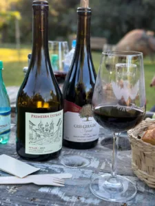 DESBRAVANDO O ENOTURISMO MINEIRO: UMA VIAGEM PELO SABOR, HISTÓRIA E ENCANTO DAS VINÍCOLAS DE MINAS GERAIS 9 WhatsApp Image 2025 08 06 at 18.37.55