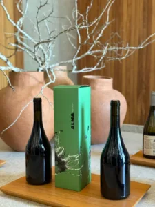 DESBRAVANDO O ENOTURISMO MINEIRO: UMA VIAGEM PELO SABOR, HISTÓRIA E ENCANTO DAS VINÍCOLAS DE MINAS GERAIS 17 WhatsApp Image 2025 08 06 at 18.38.03 1 1