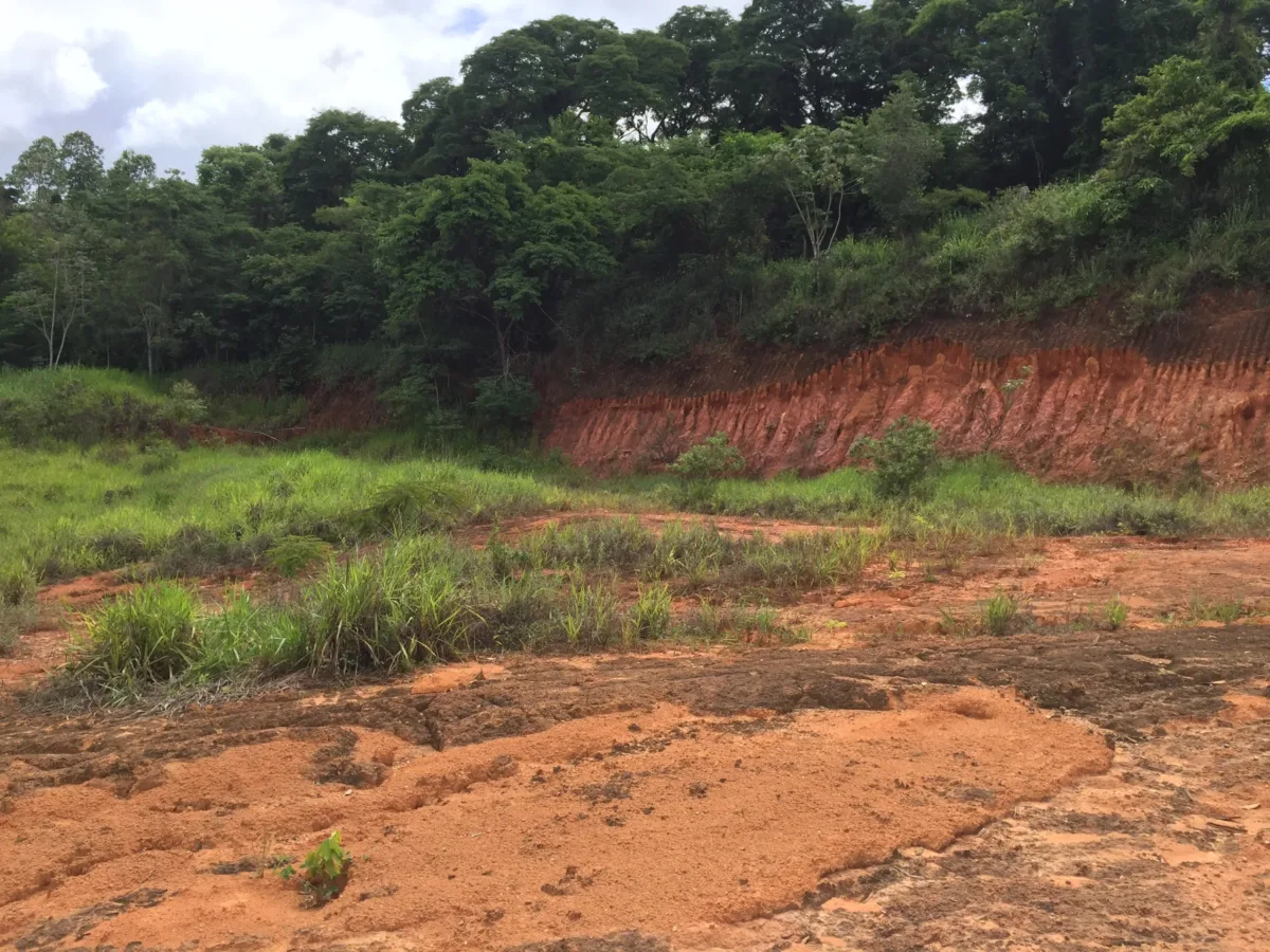 CENIBRA TRANSFORMA RESÍDUOS INDUSTRIAIS EM SOLUÇÃO SUSTENTÁVEL PARA RECUPERAÇÃO DE ÁREAS DEGRADADAS 2 Aterro 196 em 2021 antes da aplicacao da tecnica para revitalizar areas com baixa fertilidade scaled e1766013990260