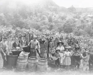 18 DE FEV - DIA INTERNACIONAL DO VINHO 3 IMG 0764