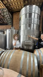 VIVER A VINDIMA: UMA IMERSÃO ENTRE TRADIÇÃO, VINHO E MEMÓRIAS NA SERRA GAÚCHA 4 WhatsApp Image 2026 02 17 at 17.43.05