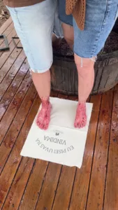 VIVER A VINDIMA: UMA IMERSÃO ENTRE TRADIÇÃO, VINHO E MEMÓRIAS NA SERRA GAÚCHA 6 WhatsApp Image 2026 02 17 at 17.43.11 1