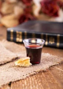 VINHO NA PÁSCOA: UMA REFLEXÃO SOBRE FÉ, HISTÓRIA E RENOVAÇÃO 2 IMG 1179