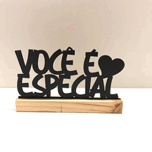 VOCÊ É ESPECIAL! 2 especial