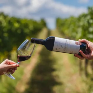 PROFISSIONAIS DO VINHO: ENTENDA QUEM SÃO E O QUE ELES FAZEM 2 IMG 1364