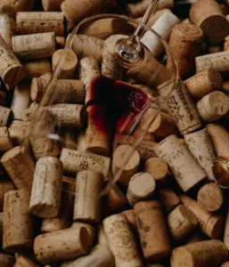 PROFISSIONAIS DO VINHO: ENTENDA QUEM SÃO E O QUE ELES FAZEM 4 IMG 1365