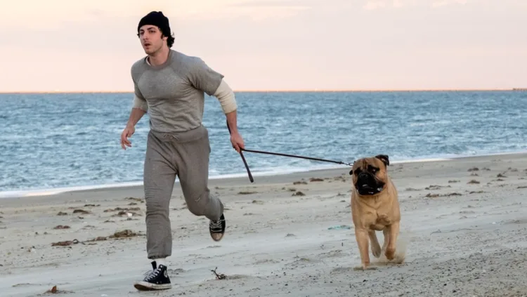 ROCKY – UM LUTADOR: OS BASTIDORES DO CLÁSSICO QUE COMPLETA 50 ANOS 11 Anthony Ippolito como Stallone em I Play Rocky Divulgacao Amazon MGM Studios