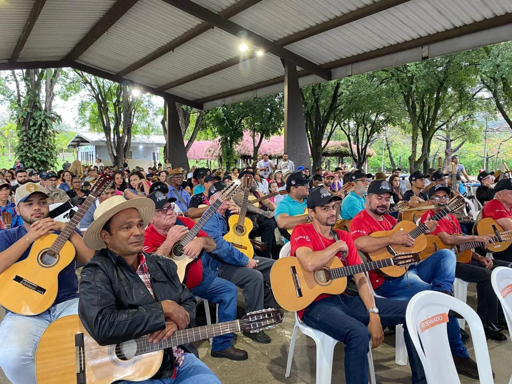 INSTITUTO TRADIÇÃO&SABER E PREFEITURA DE IPATINGA APRESENTAM A MOSTRA DE VIOLEIROS 1 Mostra de violeiros